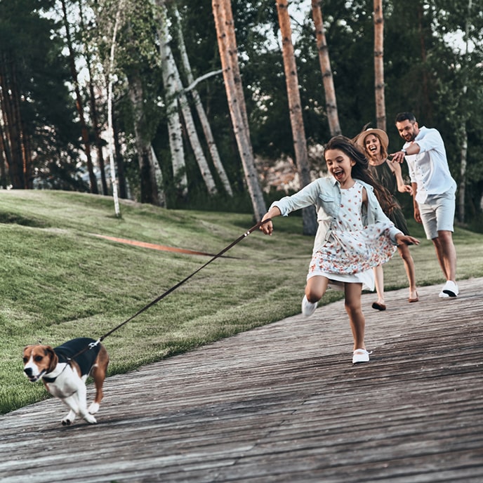 A little girl is walking her dog with her parents in a park. They are all smiling and in a cheerful mood