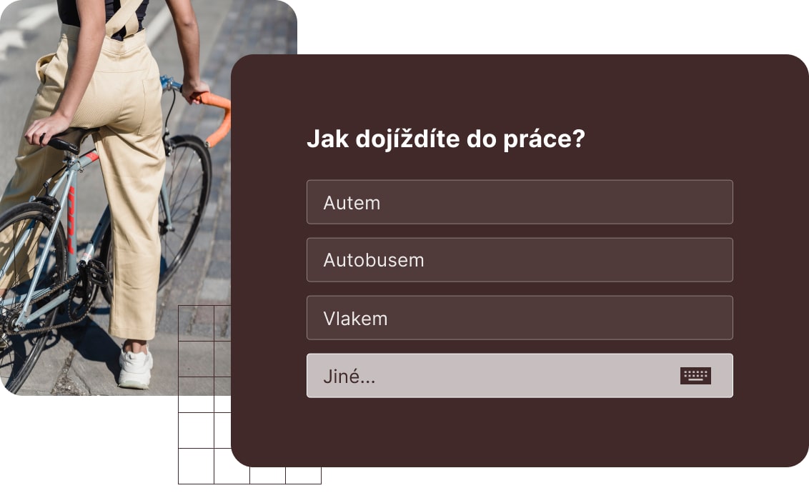 Výběr jedné z možností s variantou „jiné“